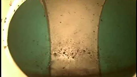 Sewer Scope for 204 Blossom Drive Loveland, CO 80537