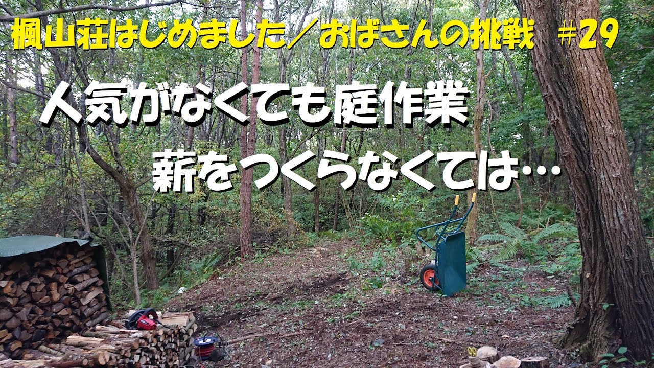 ＃２９　人気がなくても庭作業／薪をつくる