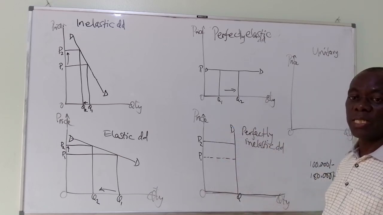 ⁣Calculating Elasticity: A Practical Guide