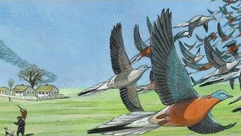 This Is Martha, the World