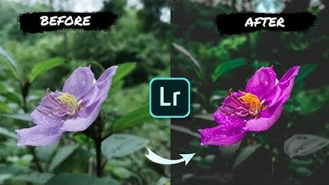 Moody flower editing tutorial lightroom colour grading video