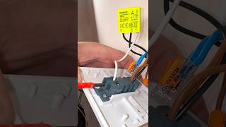 Warning Big Features, Tiny Dimmer