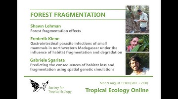 Seminar on forest fragmentation - Tropical Ecology Online - 09. August. 2021