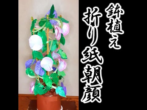 kimie gangi #shorts 簡単 折り紙朝顔の鉢植え #ORIGAMI #あさがお