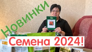 Семена овощей 2024. Новинки для урожайного сезона!