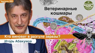 Ветеринарные кошмары. Сельский час # 205 (Игорь Абакумов)