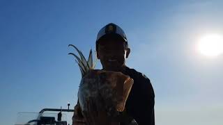#SAN MARTIN PICADA EN DIRECTO # 12SLOW JIGGING GALICIA REINA DEL MAR