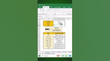 Calcule seu IMC com Facilidade usando o Excel