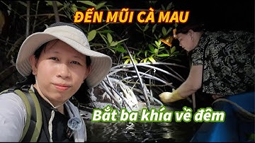 Đất Mũi Cà Mau: Chèo xuồng bắt ba khía, trải nghiệm 1 đêm ngủ trong rừng đước