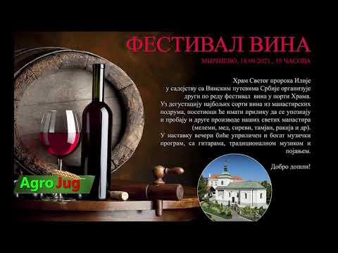 II Vinski festival