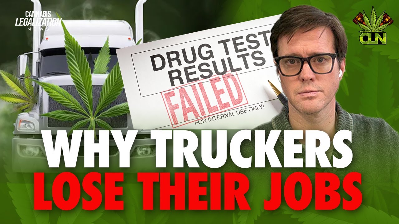 THC trucking laws | Why Truckers Are Losing Jobs Over Legal THC Use 🚛🌿