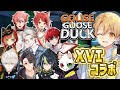 【 Goose Goose Duck 】XVIでアヒル人狼!僕はライヤーです。【るぅと/すとぷり/STPR Family】