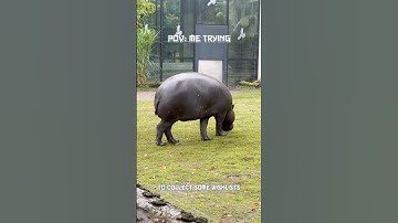 Wrong use of pov #indiedev #gamedev #gamedeveloper #gamedevelopment #gunjong