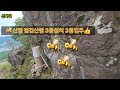 🐝산벌 점검 3통설치 3통입주👍