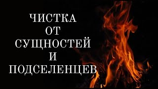 🔴ЧИСТКА ОТ СУЩНОСТЕЙ, БЕСОВ, ЛЯРВ, ПОДСЕЛЕНЦЕВ, сосущих вашу жизненную энергию.