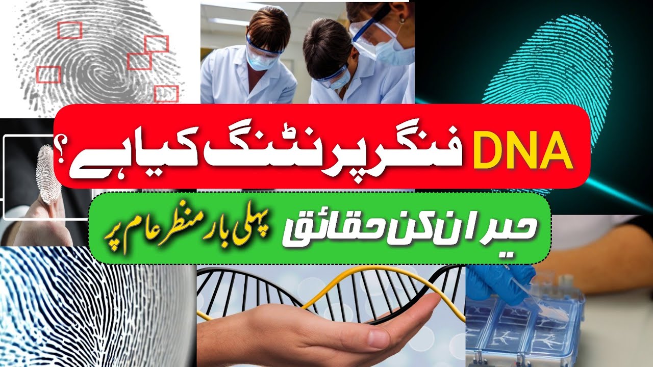 What is DNA Fingerprinting? Steps involved in DNA Fingerprinting - YouTube