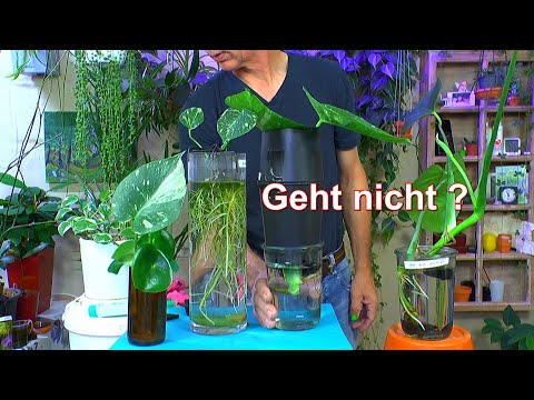 Video: Bis Zu Welchem Datum Ist Der Herbstruf