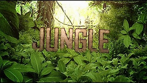 127 - The Jungle