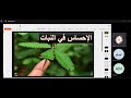 2023الاحساس فى النباتاحياء تانية ثانوى الترم الترم الثانى mp3