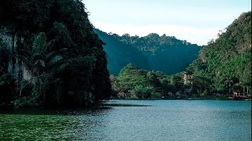 أجمل صوت سورة القيامة | قرآن كريم بصوت القارئ ياسين نائب |