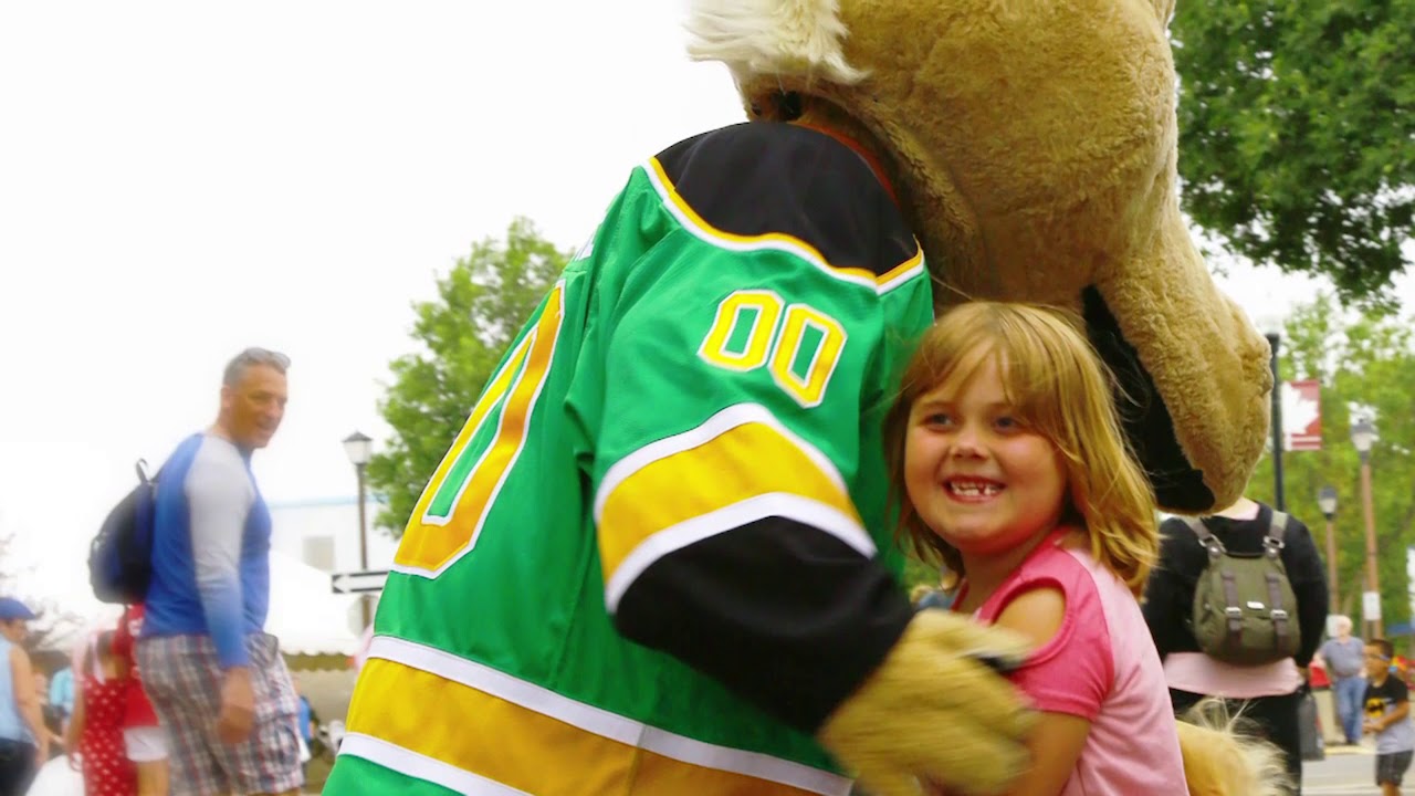 City of Swift Current 2019 Budget: Striving For Excellence