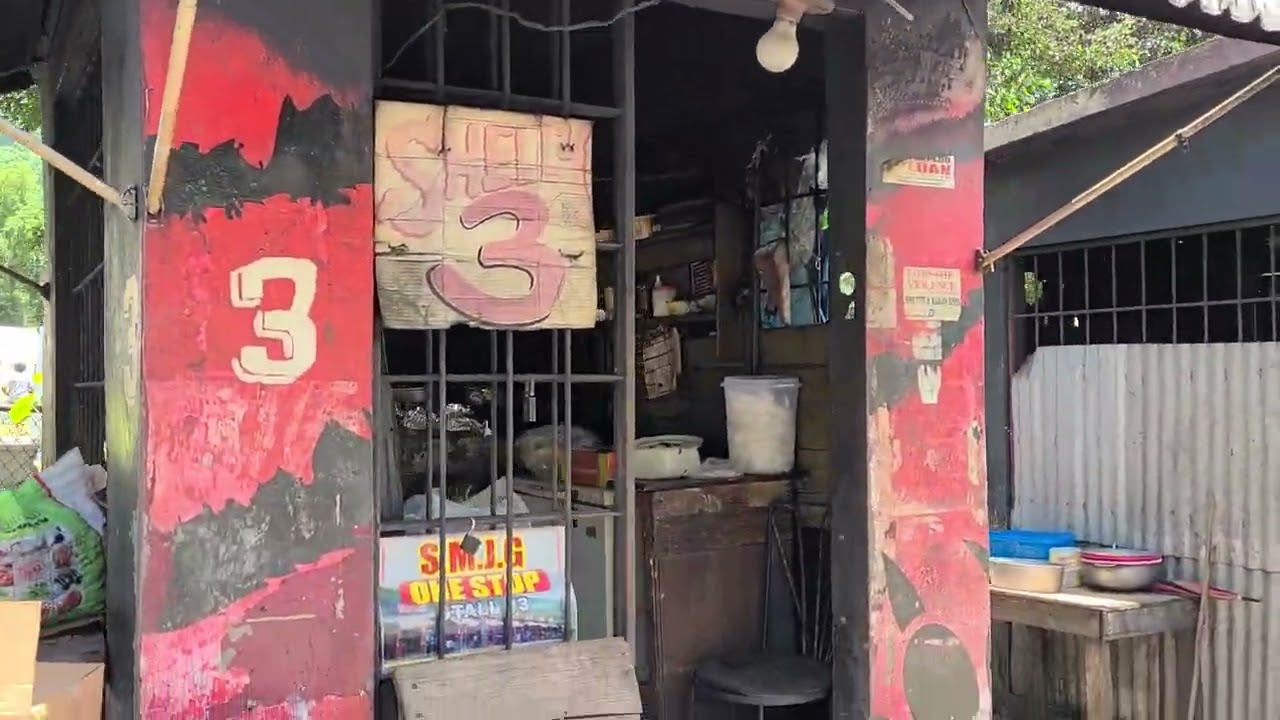 Мелроуз Ям Парк Манчестер Ямайка в 2021 году