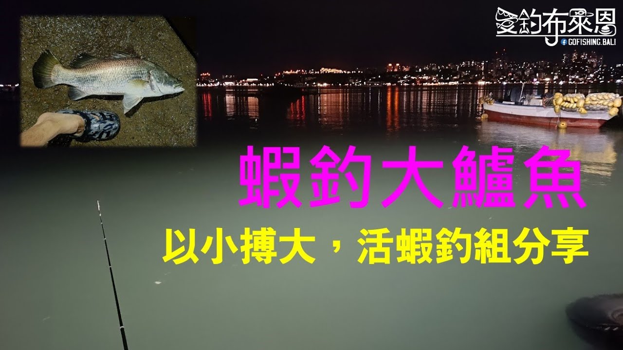 學釣魚#42 如何用活蝦釣大鱸魚 活蝦釣組/釣法解說 #金目鱸 #石斑 #黑鯛 #牛尾 #海鰱 縮圖