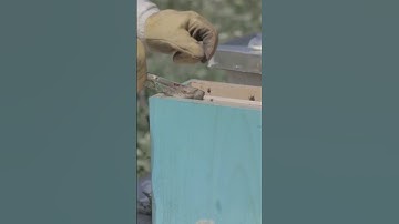 What is a hive tool for?