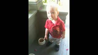 feeding the kittie cat