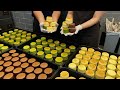 400개 한정 판매! 1시간 만에 완판 되는 폭신폭신 치플레 (치즈케이크+수플레) Fluffy cheesecake souffle making - Korean street food