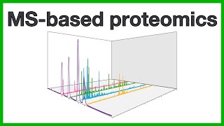 MS-based proteomics: A short introduction to the core concepts of proteomics and mass spectrometry