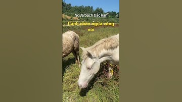 Làng ngựa bạch bắc kạn