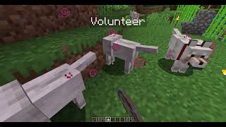 Crossroads Mod: Witchcraft Demonstration