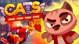:  ! -        ! - CATS #13