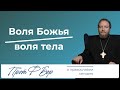 Паралич воли и воля Божья. Священник Федор Бородин