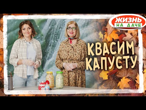 Как квасить капусту!