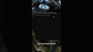 Famous CMD Fun Tricks 💥 #windowstricks Profile