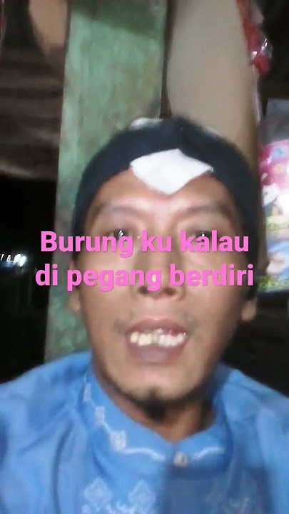 burungku kalau di pegang berdiri