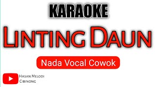 LINTING DAUN Karaoke Dangdut - Nada Cowok