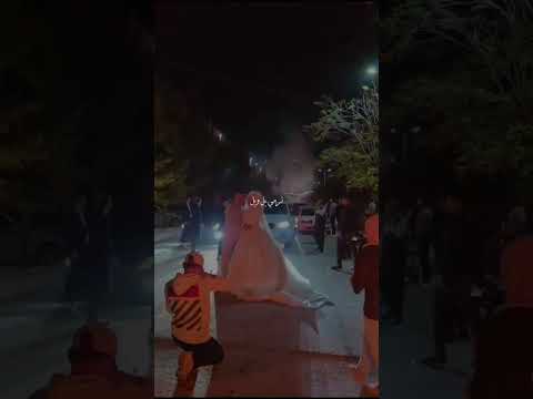 بنجيب جاهة وجاهة