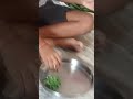 Vegetables cutting