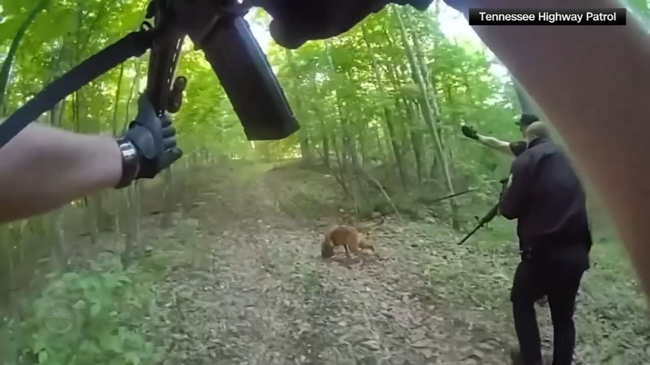 Special forces veteran accused of shooting wife and fleeing - YouTube