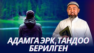 Адамга эрк берилген. Биз качан мусулман болдук. Бетбактык деген эмне.  Устаз Искендер Жакеев