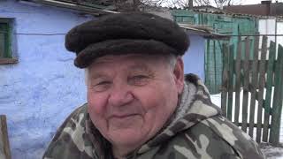 картинка: Николаевские голуби. 80 лет по жизни с голубями.