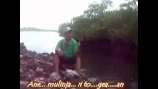 LAGU DAERAH TOGIAN ( TOGEAN) - JALAN LINGKAR TOGIAN, KAB TOJO UNA UNA