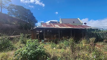 542m2 sổ đã cấp 336m2 có sẵn nhà gỗ 70m2 giá 5,2 tỉ xã Xuân Thọ, Đà Lạt. Đất cách Đà Lạt 11,5km