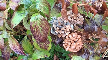 The Astrology of November 17, 2025: In the flow of healing...