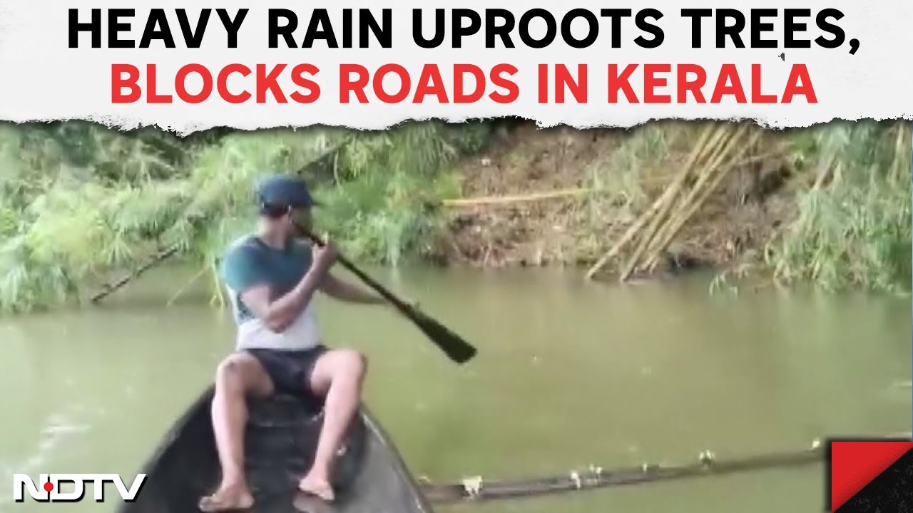 Kerala Rain | Heavy Rain Uproots Trees, Blocks Roads In Kerala's ...