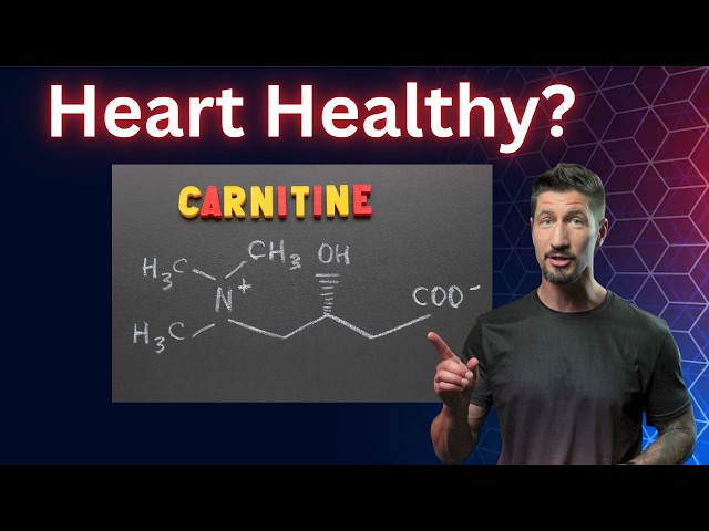 does l carnitine cause heart disease ❤️ L-Carnitine May Help Your Heart... Or Harm It? Here's the Evidence