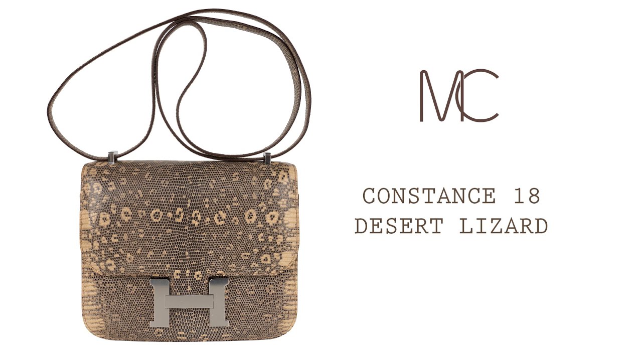 Hermes Constance 18 Ombre Lizard Bag Palladium Hardware • MIGHTYCHIC • 